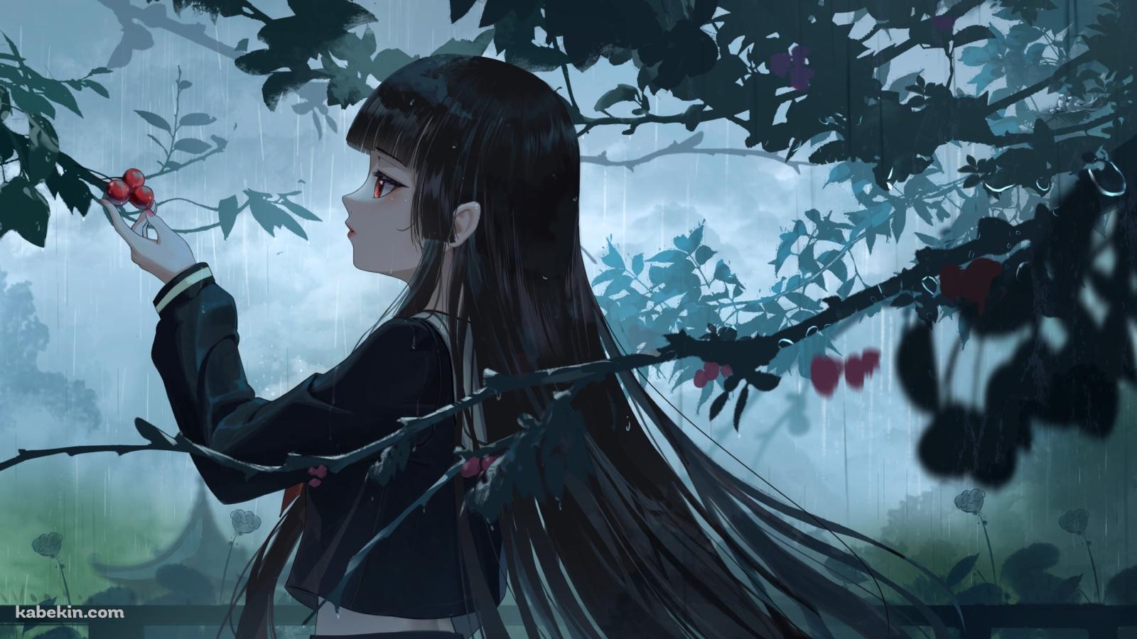 赤い果実を触る閻魔あい / 地獄少女の壁紙(1600px x 900px) 高画質 PC・デスクトップ用
