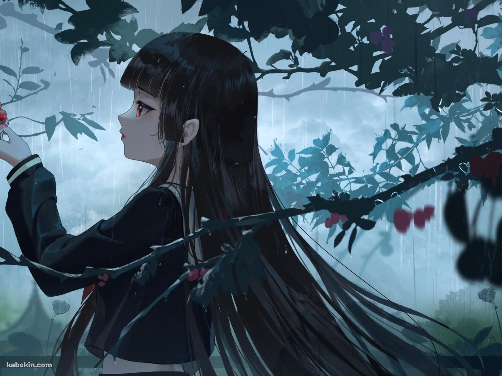 赤い果実を触る閻魔あい / 地獄少女の壁紙(1680px x 1260px) 高画質 PC・デスクトップ用
