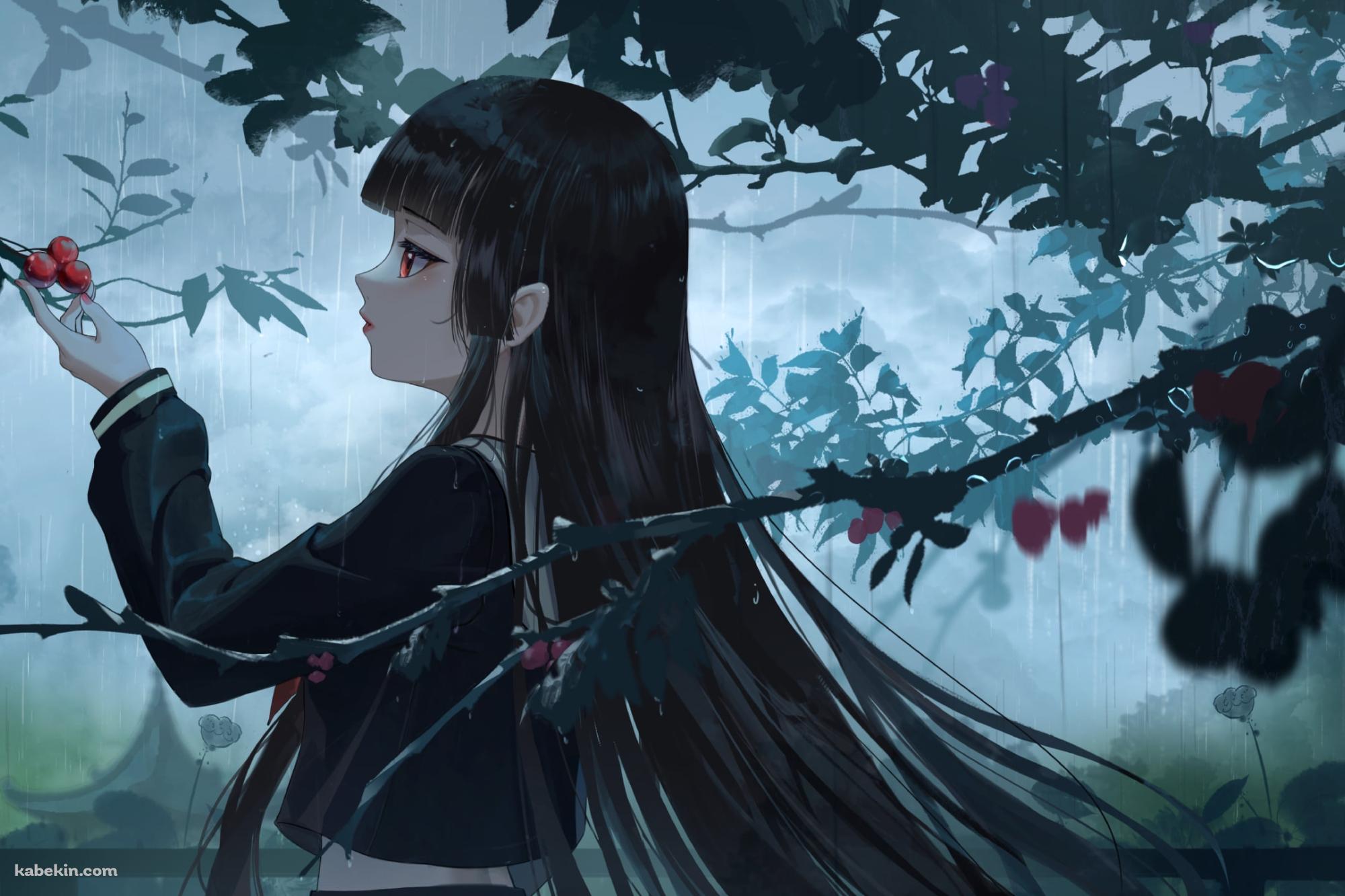 赤い果実を触る閻魔あい / 地獄少女の壁紙(2000px x 1333px) 高画質 PC・デスクトップ用