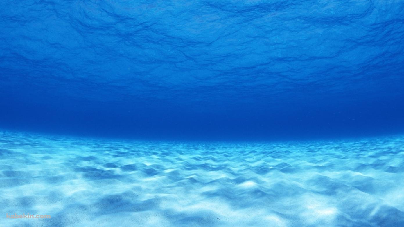 空の上のような綺麗な海底の壁紙(1391px x 783px) 高画質 PC・デスクトップ用