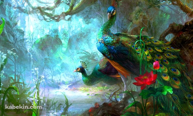 森の中の2羽の孔雀の壁紙(800px x 480px) 高画質 PC・デスクトップ用