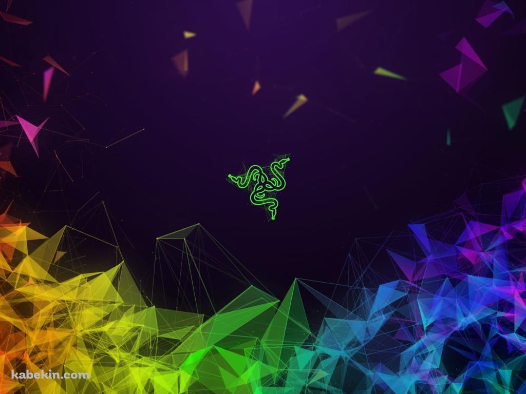 カラフルなレイザーのロゴ / Colorful Razer Logoの壁紙(1024px x 768px) 高画質 PC・デスクトップ用