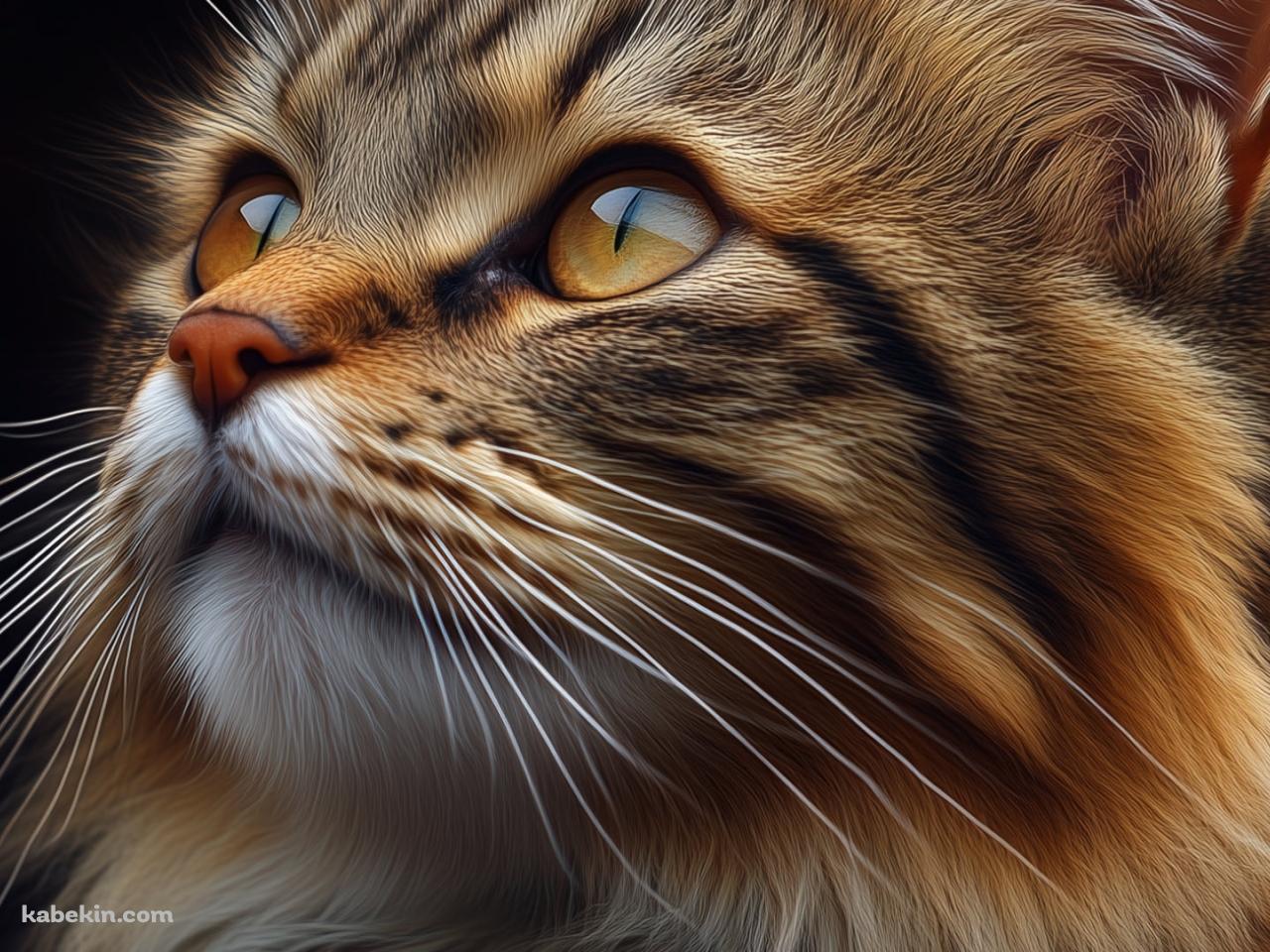 モフモフの髭の長い茶色い茶猫 / 猫ちゃんの壁紙(1280px x 960px) 高画質 PC・デスクトップ用