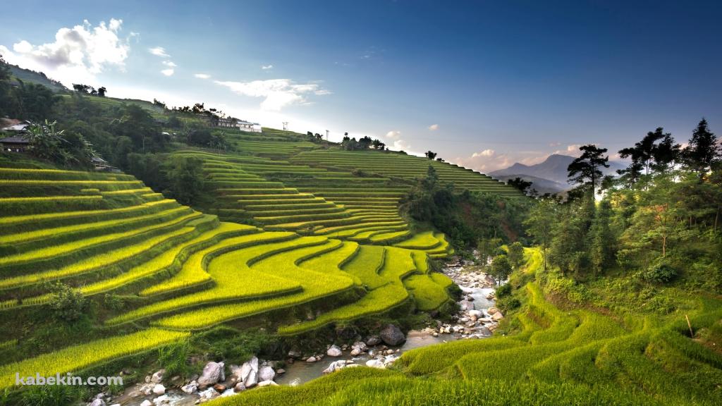 長閑な田園風景 / 段々畑と川の壁紙(1024px x 576px) 高画質 PC・デスクトップ用
