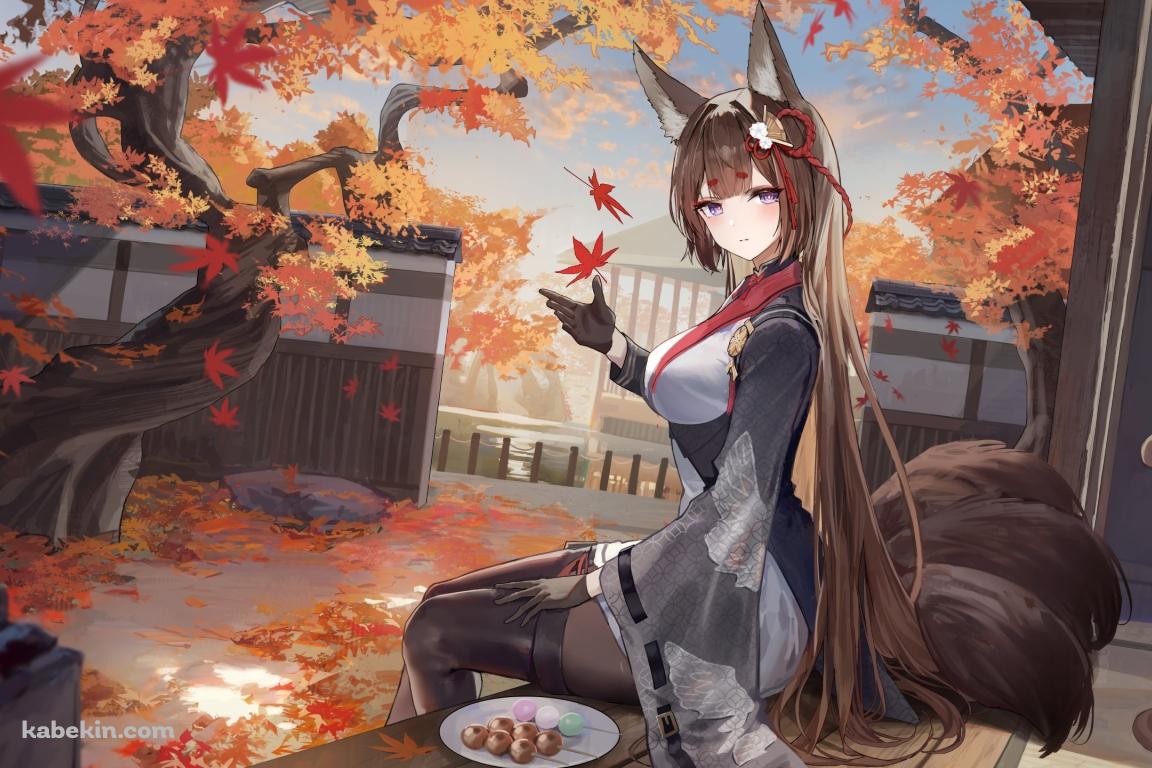 縁側でお団子を食べる天城 / 紅葉 / アズールレーンの壁紙(1152px x 768px) 高画質 PC・デスクトップ用