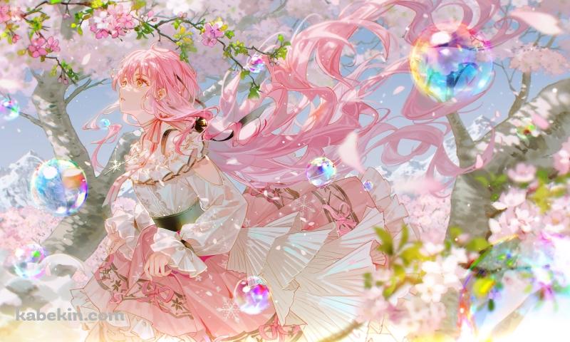 桜の花と綺麗なシャボン玉とニキ / nikki / インフィニティニキの壁紙(800px x 480px) 高画質 PC・デスクトップ用
